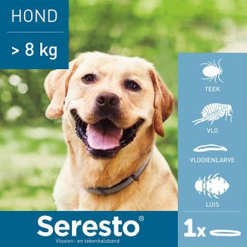 Seresto Vlooien