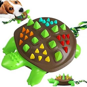 Tortoise Tough Teeth Trainer