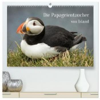 Inxtagenumdiewelt, Inxtagenumdiewelt: Die Papageientaucher von Island (hochwertiger Premium Wandkalender 2024 DIN A2 quer), Kunstdruck in Hochglanz
