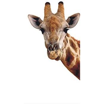 Décor Mural Girafe – Intissé – 90 x 202 cm