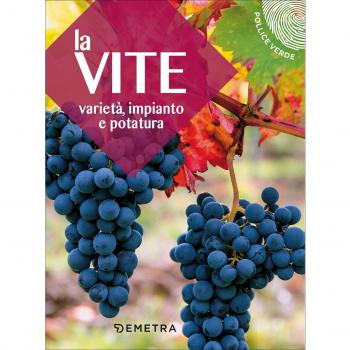 La vite: Varietà, impianto e potatura