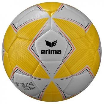Ballon Erima Senzor Star 290 Mixte