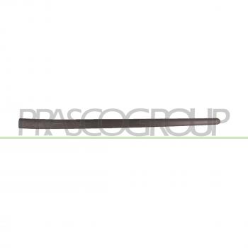 Protection de porte PRASCO VG0361404