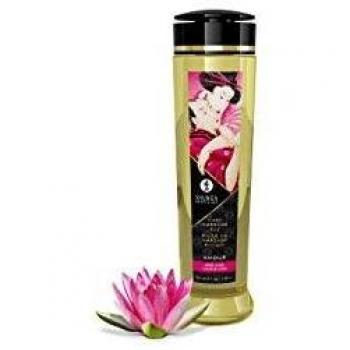 Shunga Scented Massage Oil Seduction 240 ml