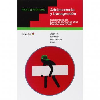 Adolescencia y transgresión : la experiencia del Equipo de Atención en Salud Mental al Menor