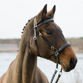 Equipamento de Montaria Globus Sport Winnetou Sem Bit (Cob)