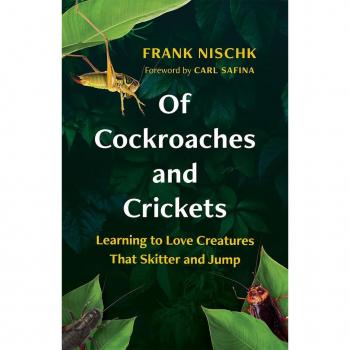 Vitalsource Technologies, Inc. Of Cockroaches and Crickets