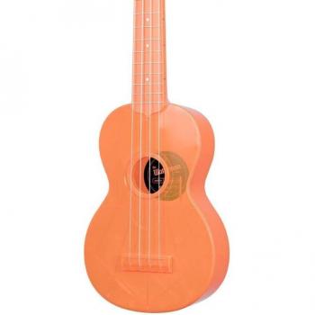 Waterman Bright Orange Burst
