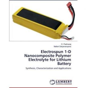 Electrospun 1-D Nanocomposite Polymer Electrolyte for Lithium Battery: Synthesis, Characterization and Applications