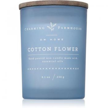 DW Home Charming Farmhouse candela profumata 230 g