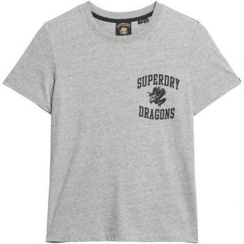 Superdry Damen Kurzarm Tee CNY Graphic – XL, grau meliert