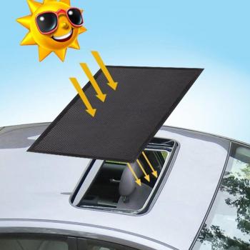 Cortinas Antimosquitos para Techo Solar de Automóvil