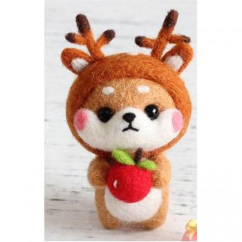 Wool Felting Craft Set