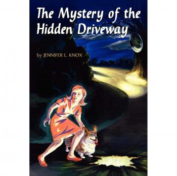 The Mystery of the Hidden Driveway