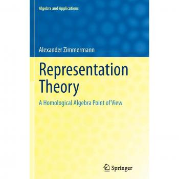 Representation Theory: A Homological Algebra Point of View