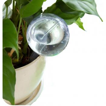 Garden Watering Bulbs