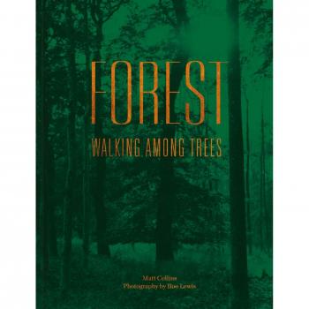 Forest: Walking among trees