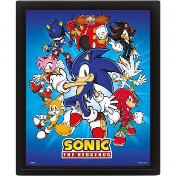 Póster 3D con marco Sonic