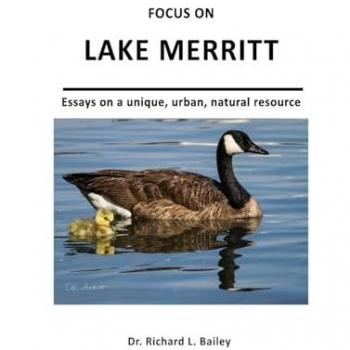 FOCUS ON LAKE MERRITT: Essays on a unique, urban, natural resource in Oakland