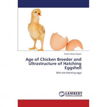 Age of Chicken Breeder and Ultrastructure of Hatching Eggshell: SEM and Hatching eggs