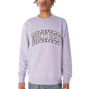 Dickies Felpa Aitkin Uomo Cosmic Sky S