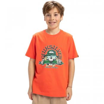 Quiksilver Kinder Shirttop »Ev Skull Feast«