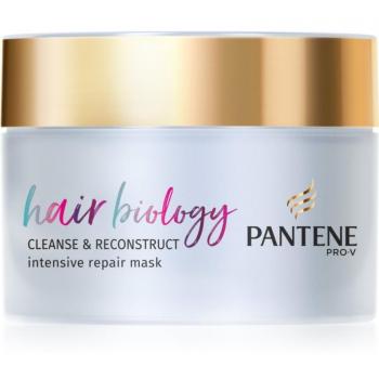 Mascarilla para Cabello Graso Pantene Hair Biology 160 ml
