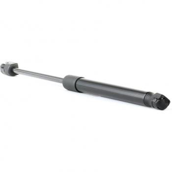 Ridex Pistoncini Portellone GF Alto