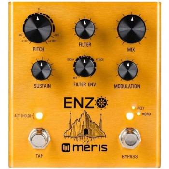 Enzo-Synth Multi-Effect Unit