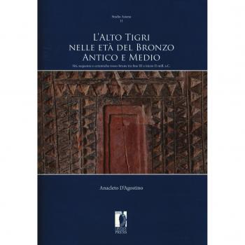 L' Alto Tigri nelle età del bronzo antico e medio. Siti, sequenze e ceramiche rosso-brune tra fine III e inizio II mill. a.C.