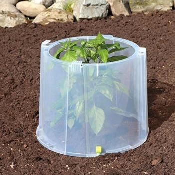 Rehausse de cloche pour culture