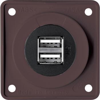Berker Integro Pure double USB socket 12 V brown