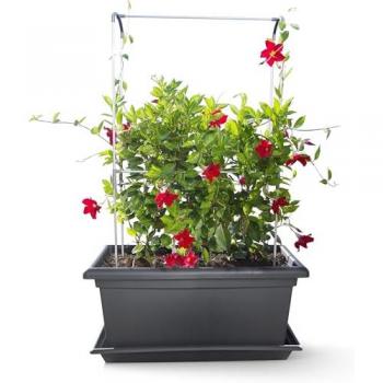 Gardenico Magnus Series: 1000 mm Self‑Rinse Mobile Living Wall – Dark Grey (Anthracite)