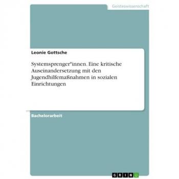 Systemsprenger*innen. Eine kritische Auseinandersetzung mit den Jugendhilfemaßnahmen in sozialen Einrichtungen