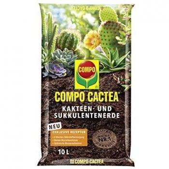 COMPO CACTEA Kakteen