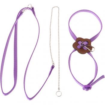 Outdoor Adjustable Harness for Parrots with Anti-Bite Leash