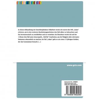 Interdisziplinäre Fallarbeit anhand eines jugendlichen Delinquenten: Meta-Ansätze und Methoden in der Sozialen Arbeit