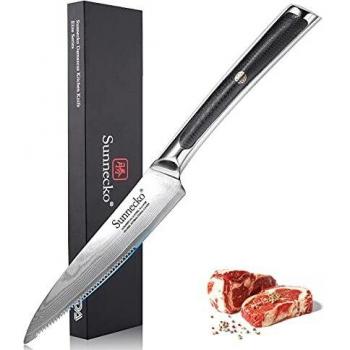 G10 Handle Damascus Steak Knife