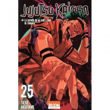 Jujutsu Kaisen T25