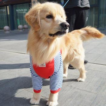 Sudadera cálida para perros grandes 3XL-6XL