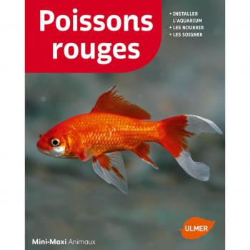 Poissons rouges