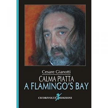 Calma piatta a Flamingo's Bay