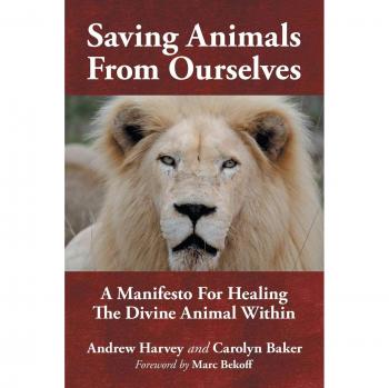 Harvey, Andrew: Saving Animals from Ourselves