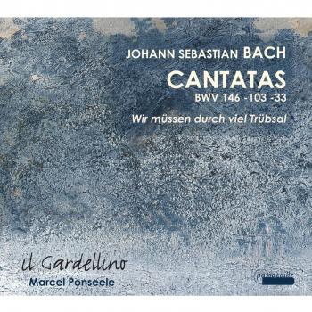Cantatas Bwv 146 103 & 33