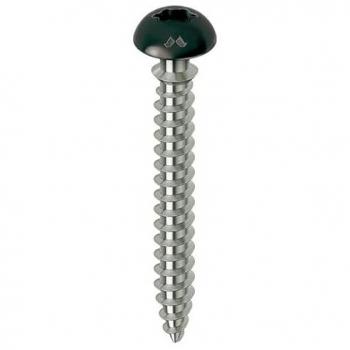 Vis de Fixation Torx 6x70
