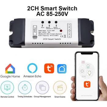Dual Channel WiFi Light Switch RF433 Remote Control