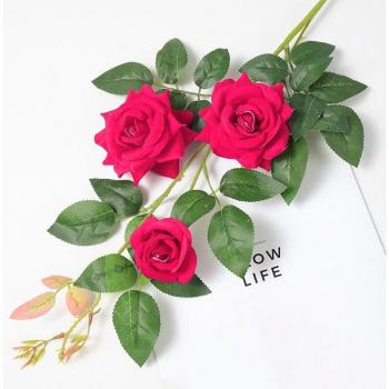 Roses décoratives en tissu 75cm pour occasions spéciales