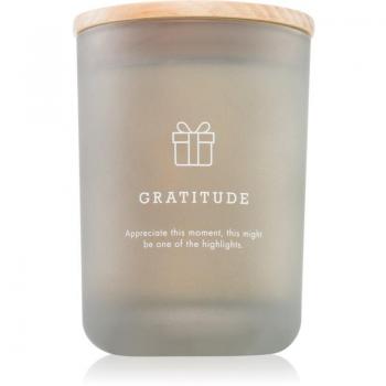DW Home Hygge Kerze Gratitude 210 g