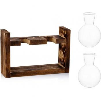 Water Planting Glass Bulb Vase