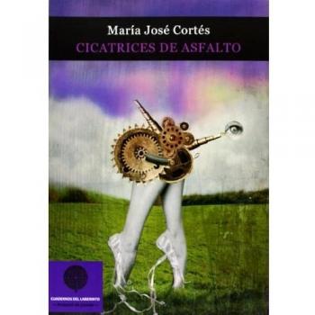 Cicatrices De Asfalto